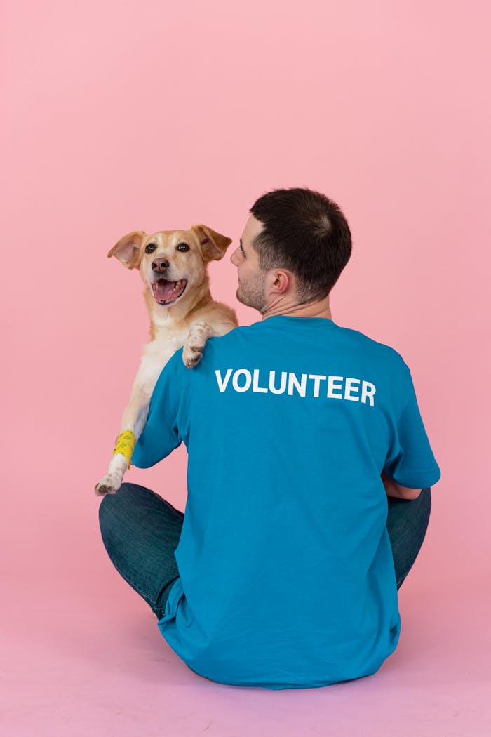 A volunteer wearing a blue shirt cuddles a happy dog in a studio with a pink background.